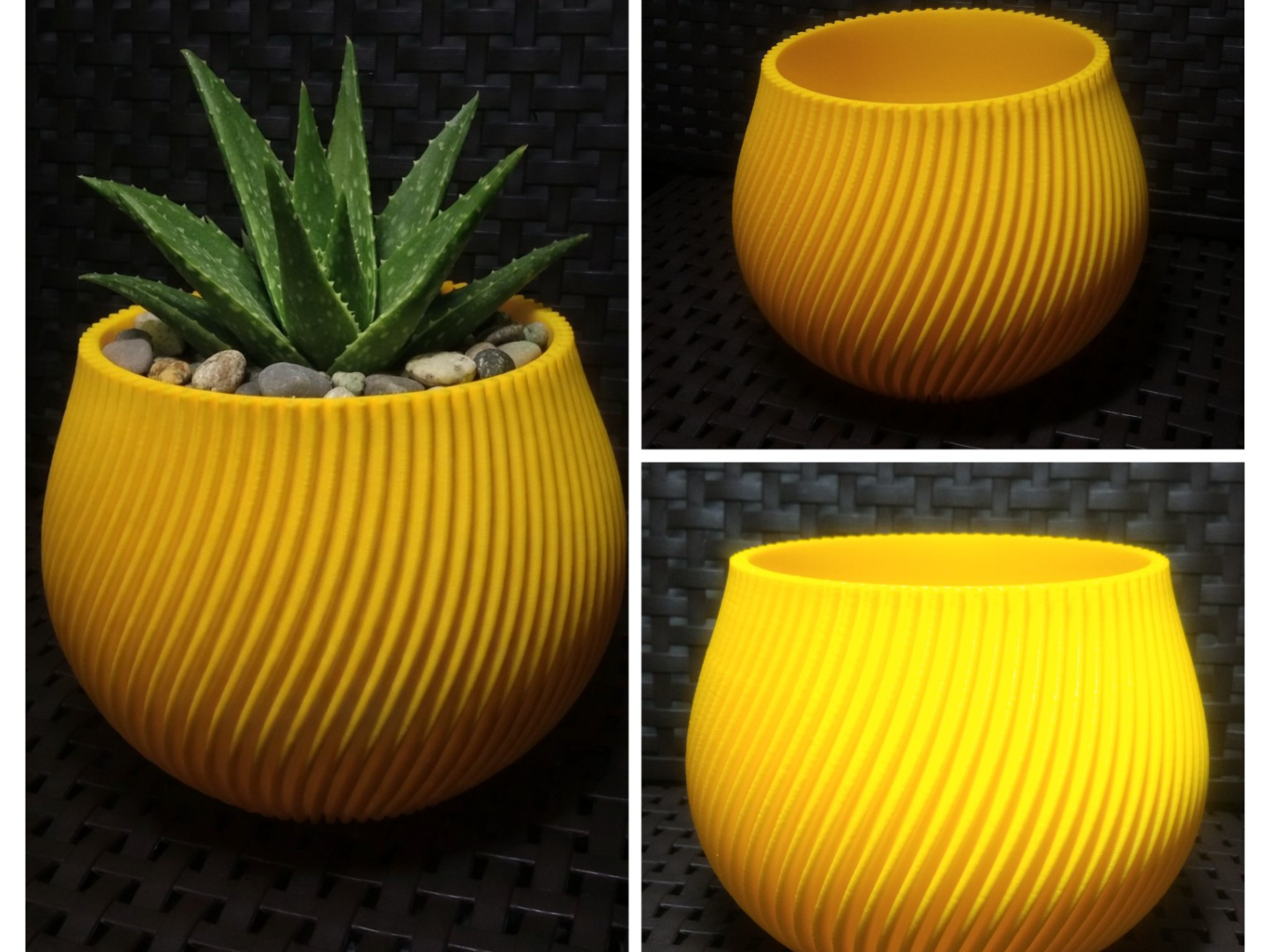Spiral Planter (2 Sizes) – Commercial use allowed