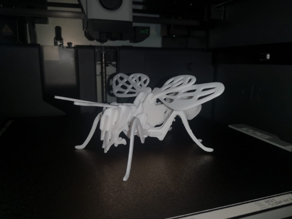 Bee_3D