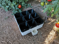 Small Self-Watering Seed Starter