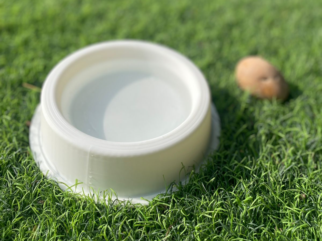 Pet Splash N' Snack Bowl