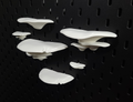 SKÅDIS Mushroom Shelves