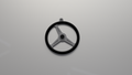 Steering Wheel Keychain