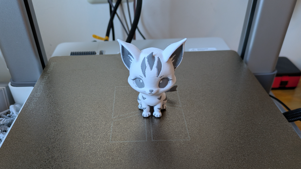 Cute zebrine kitten
