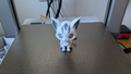 Cute zebrine kitten