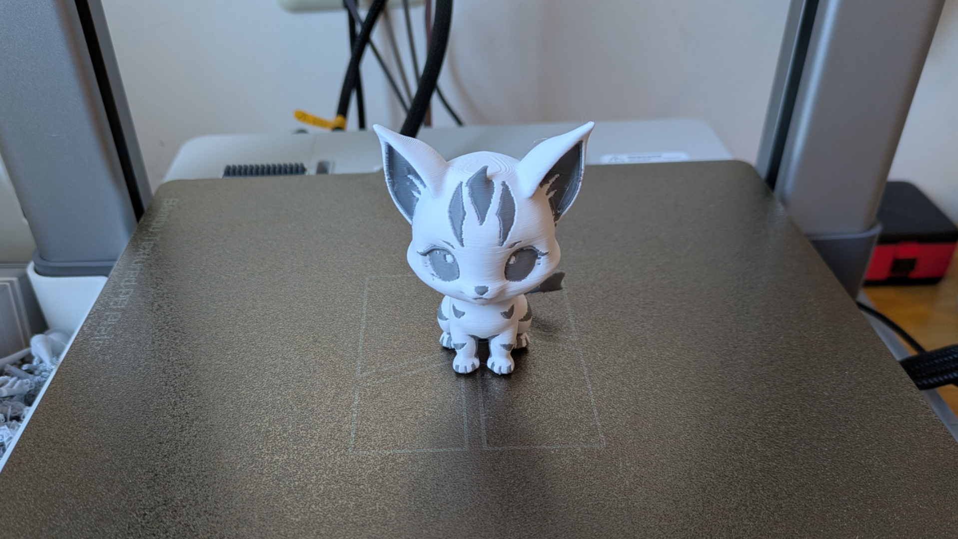 Cute zebrine kitten