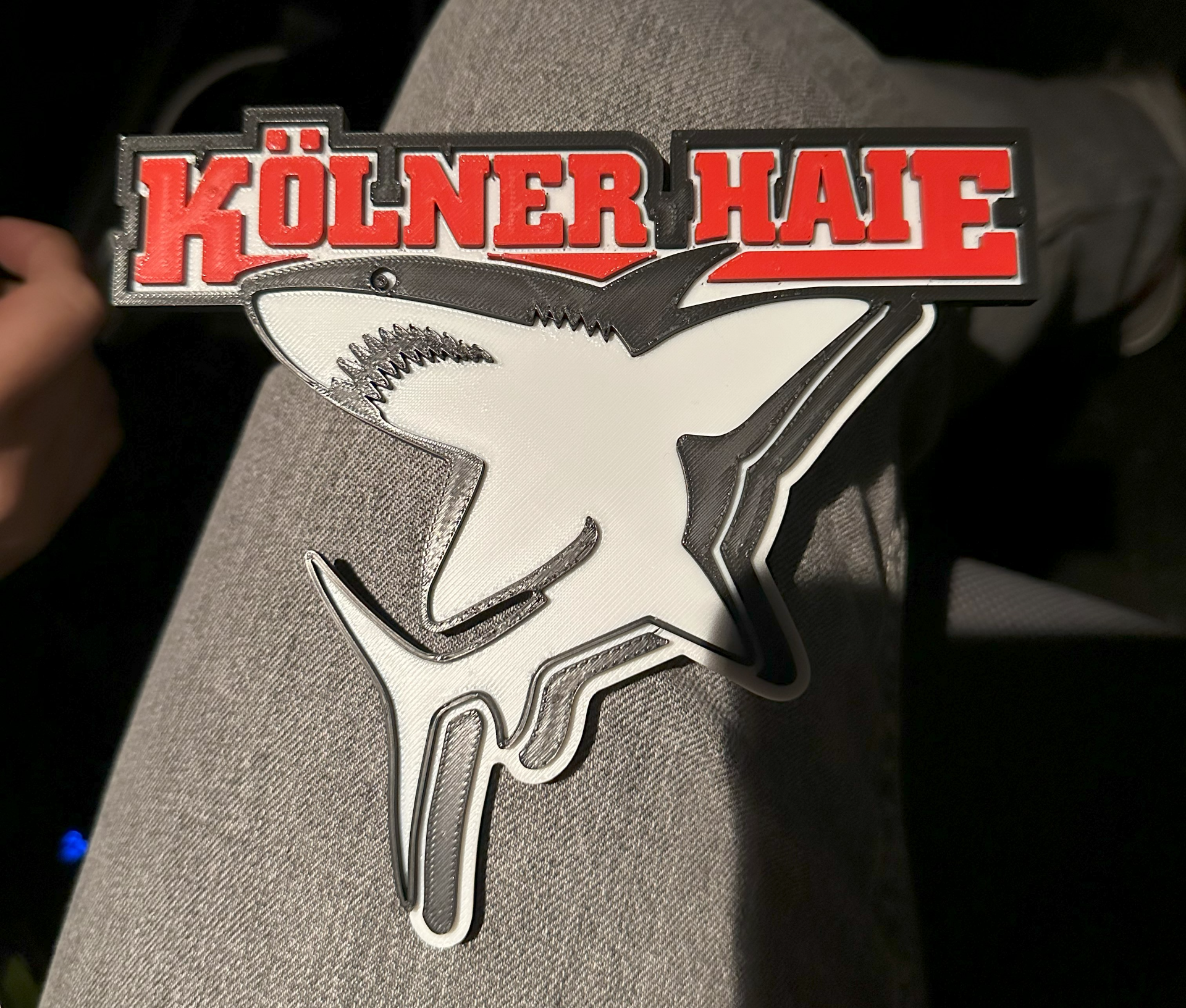 KEC - Kölner Haie Eishockey