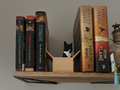 Cat in the Box Booknook