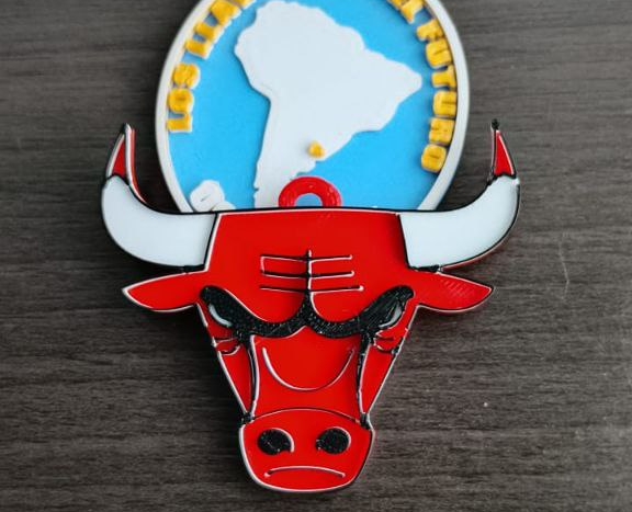 TORO CHICAGO BULLS