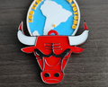 TORO CHICAGO BULLS