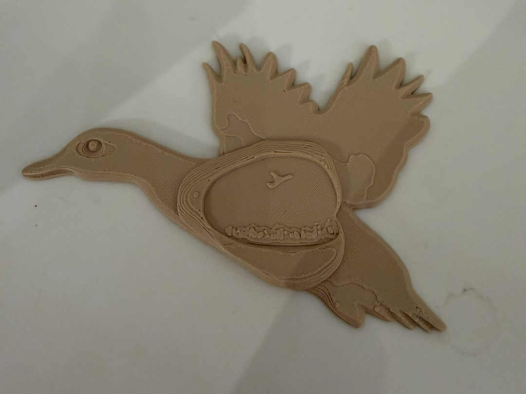 Duck Wall Embellishment