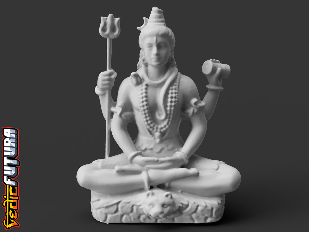 Shiva in Meditation on Tiger Skin