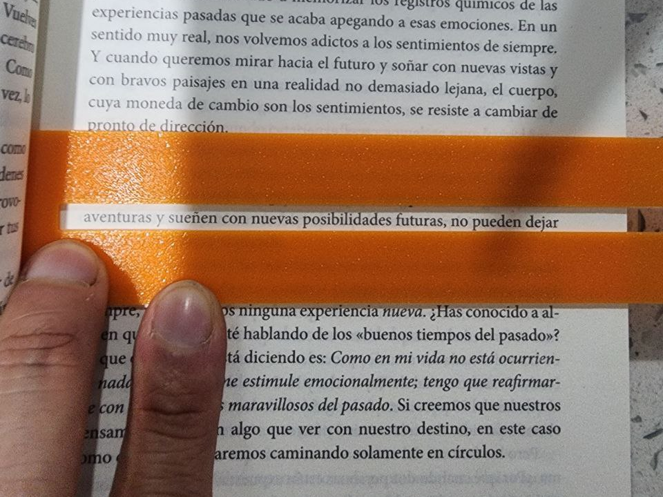 Regla Para Lectura
