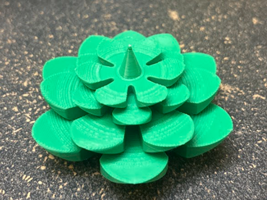 Plant/Succulent V2