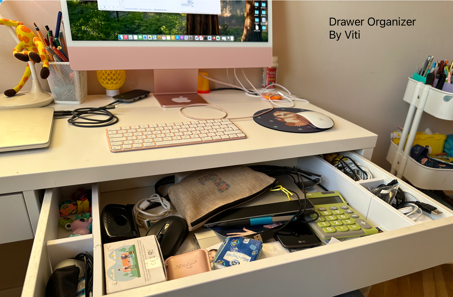 Drawer Organizer