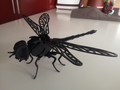 Dragonfly_3D