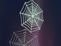 Halloween spider Web