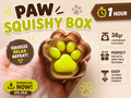 Paw Squishy Box
