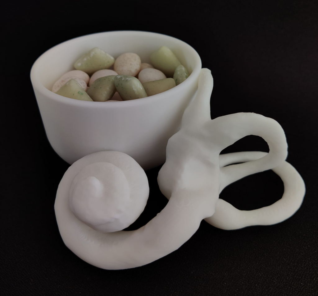 Cochlea cup