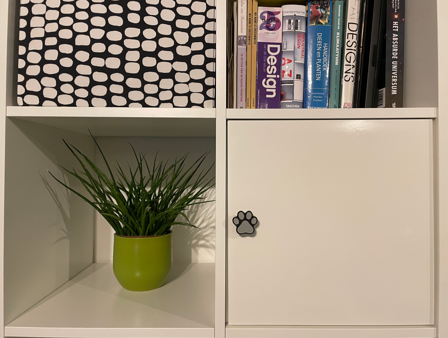 Paw shaped cabinet knob