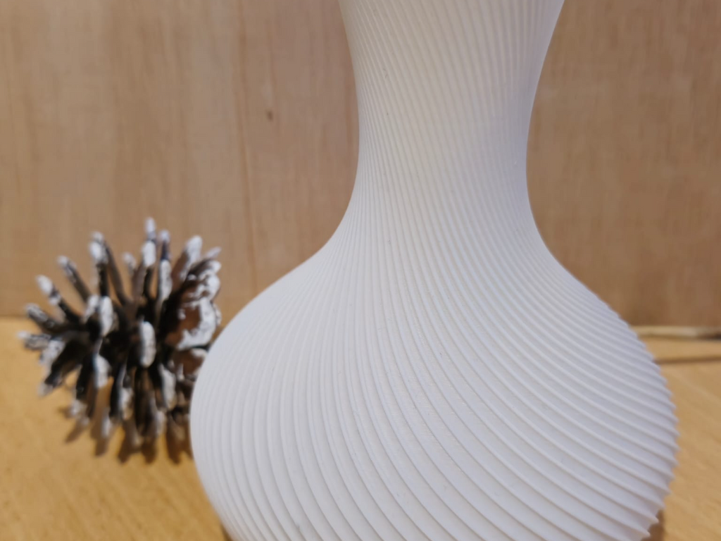 Vaso Elegante e Moderno
