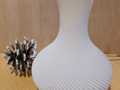 Vaso Elegante e Moderno