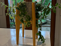 Plant stand for IKEA 9cm Chiafron Plant Pot