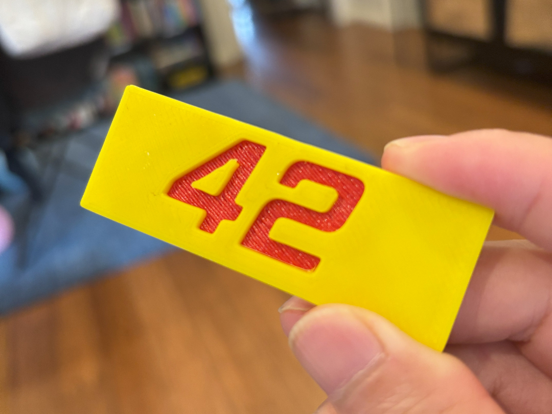 Sandwitched Number Plate (42)
