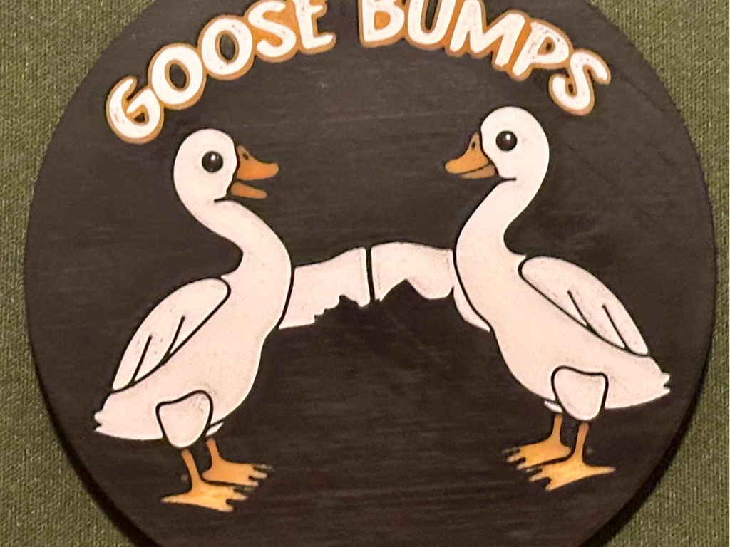 Goose Bumps Coaster