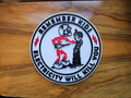 Electricity Kills Reddy Kilowatt 3D Sign