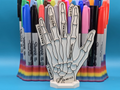Hand Anatomy Coloring Craft Education