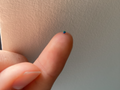 World's Smallest 3D Print