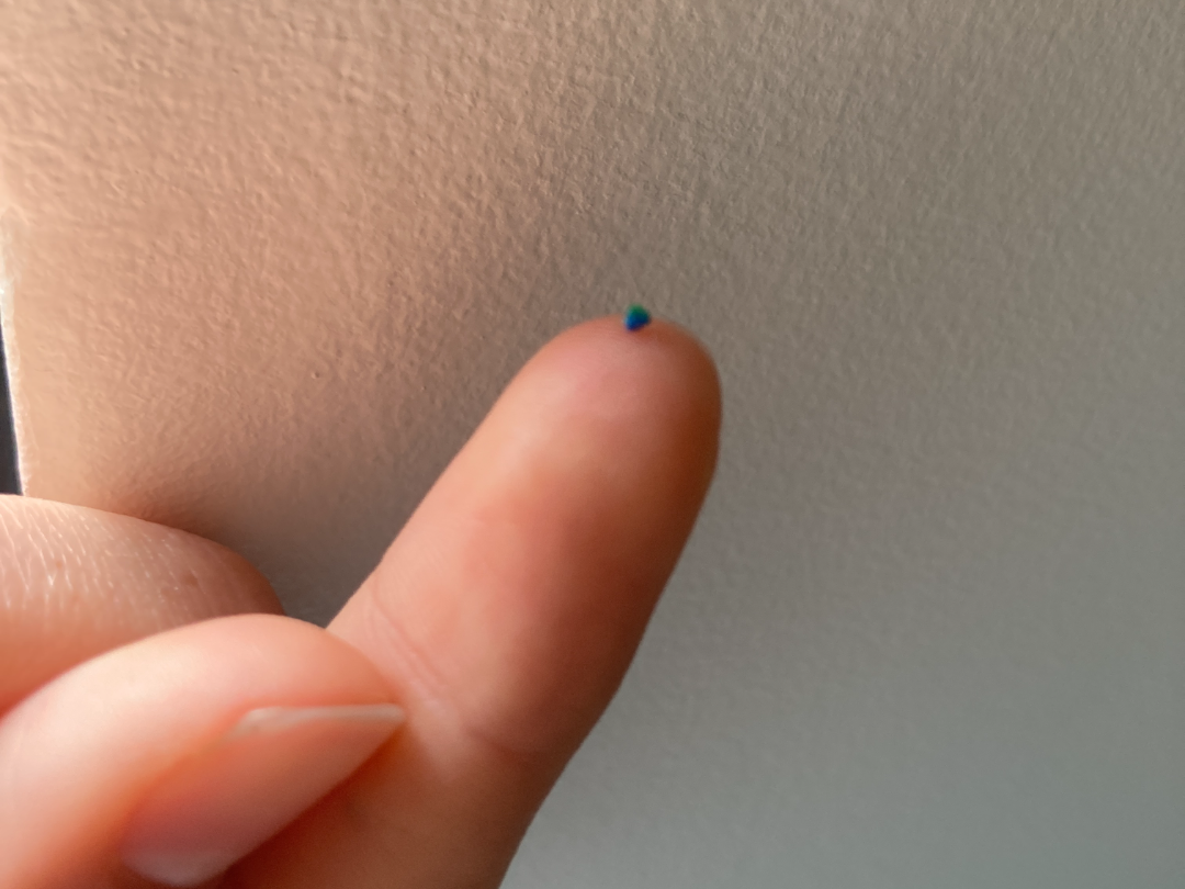 World's Smallest 3D Print