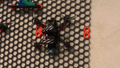 Hook with 30° angle (for hanging up drones in my case) - Honeycomb storage wall
