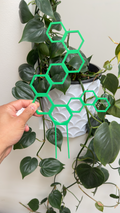 Hex Trellis plant support with printed dowel