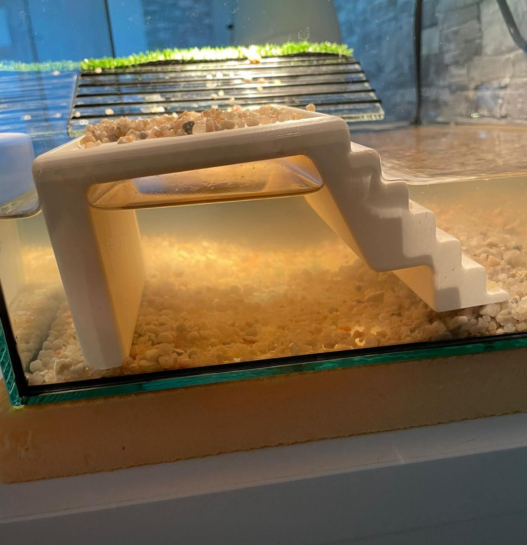 Turtle Platform