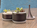 Mini Succulent Planter & Watering Can
