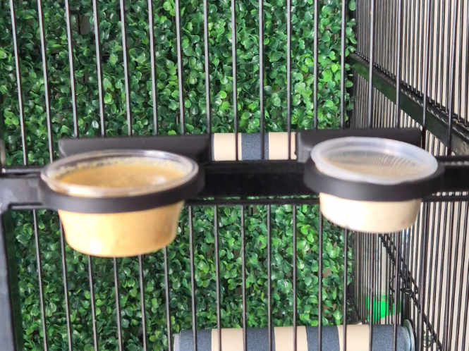Adjustable Cage Food Bowl Holder – Sugar Glider
