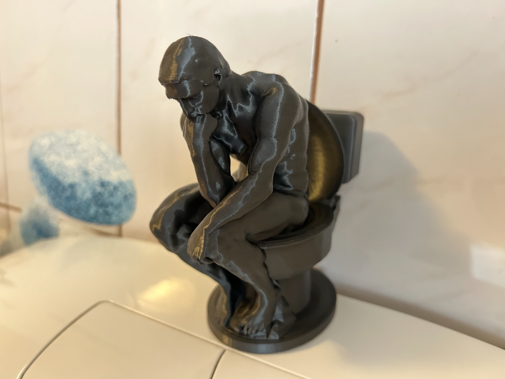 Der Denker auf dem Klo