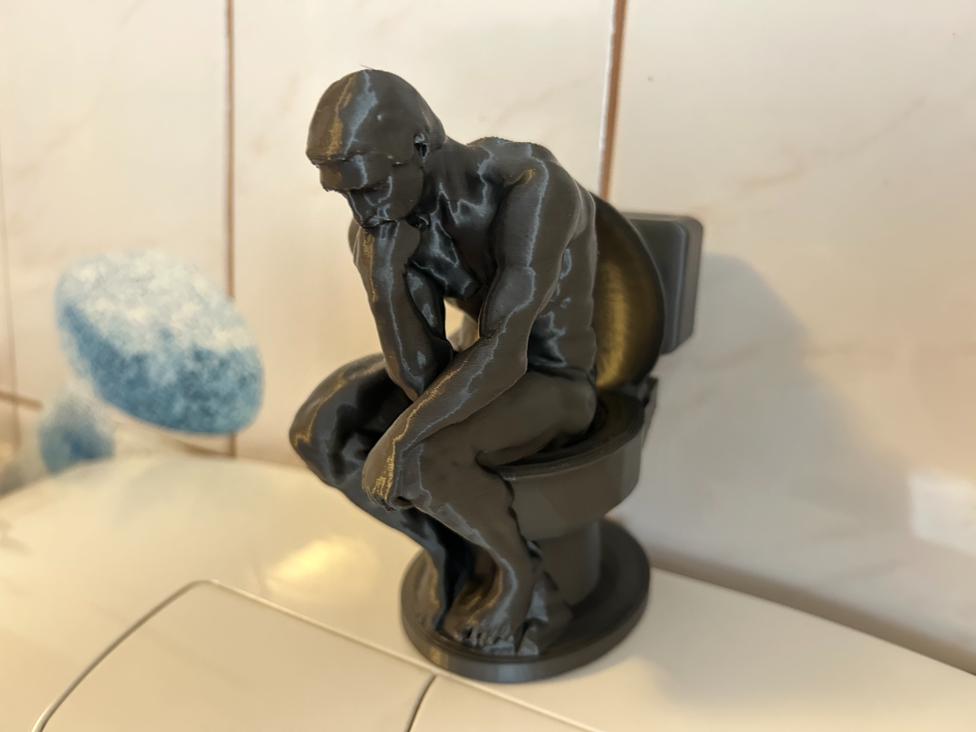Der Denker auf dem Klo