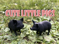 Cute little pigs on the farm
