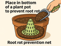 Root Rot Prevention Net