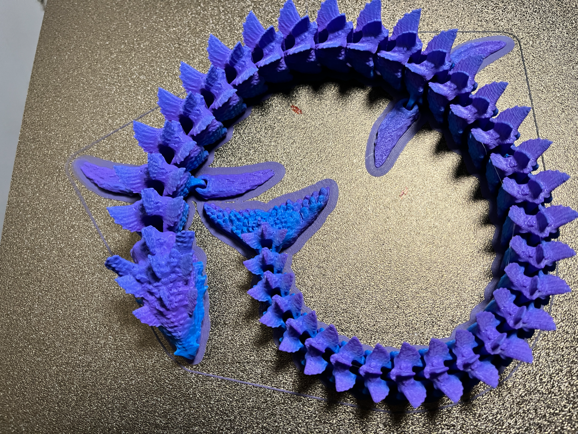 AQUATIC DRAGON