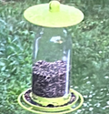 Bird feeder