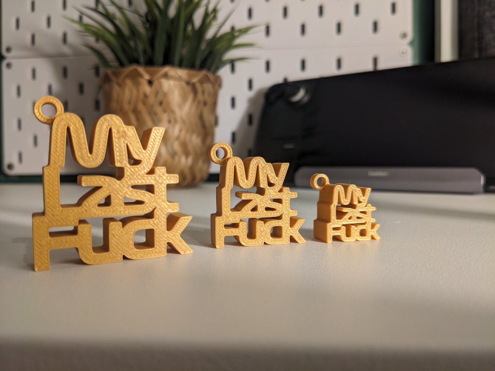 My Last Fuck keyring.