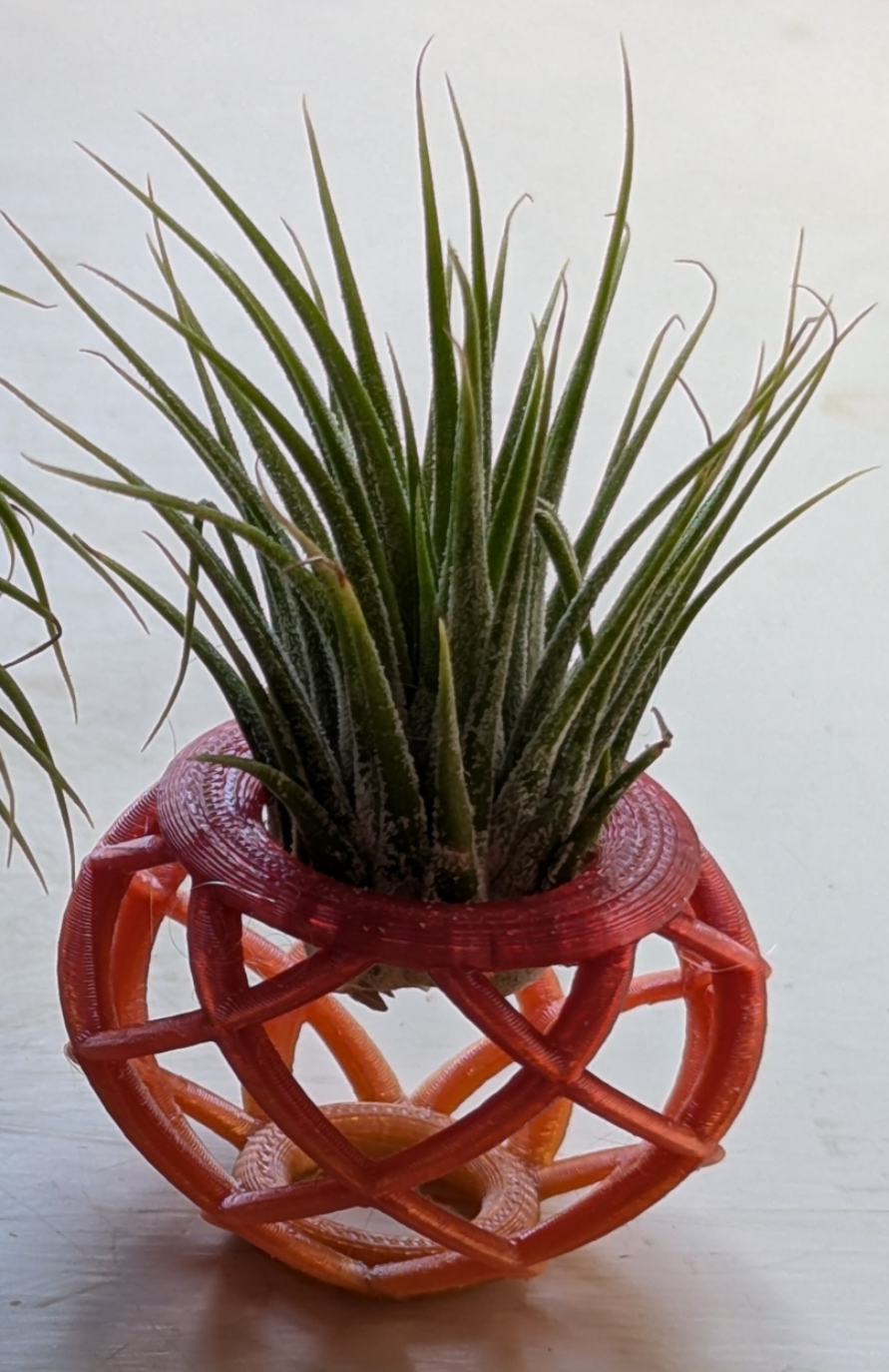 Spiral Air Plant Pot