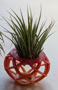 Spiral Air Plant Pot