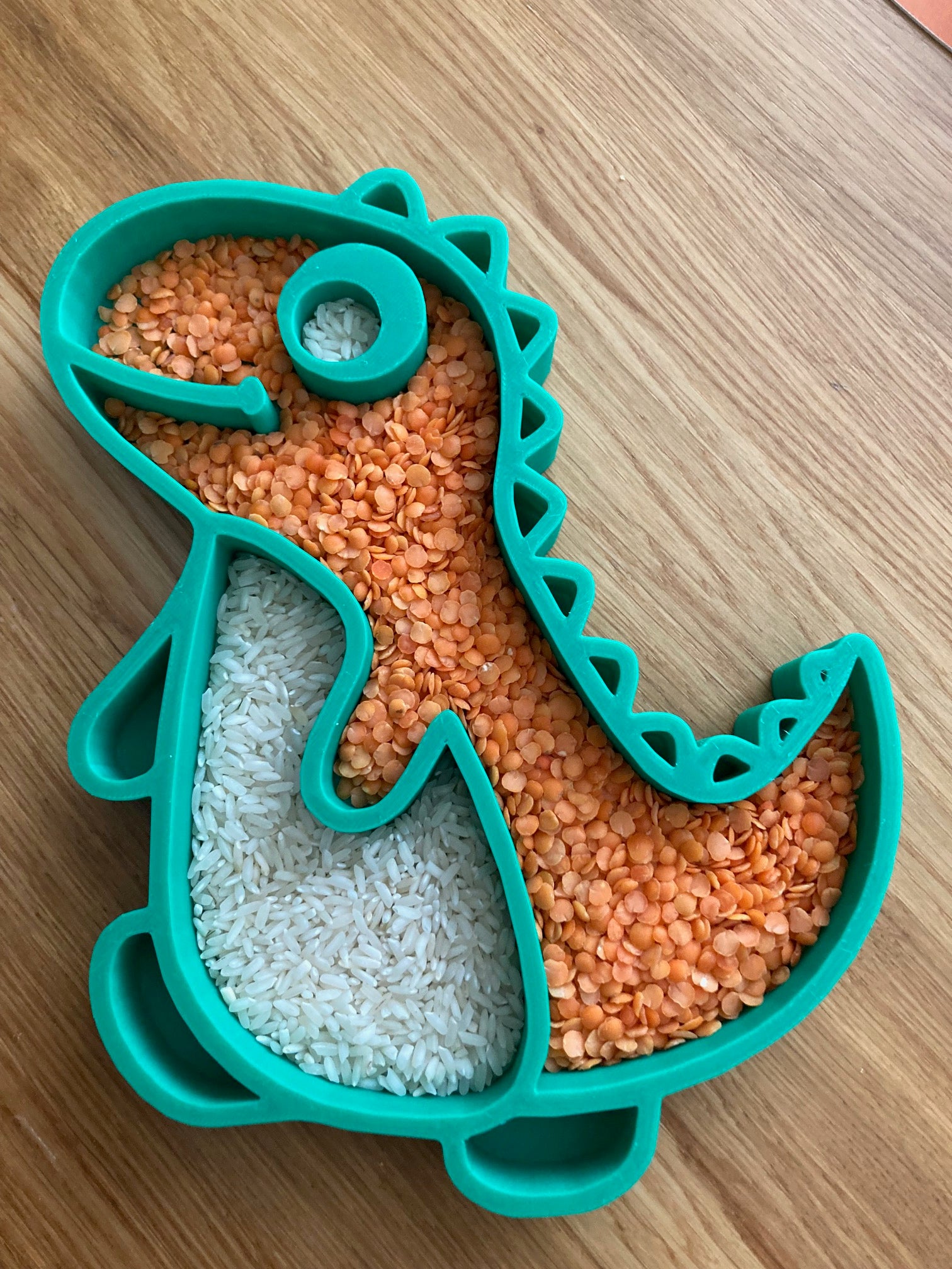 T-rex - Sense play tray
