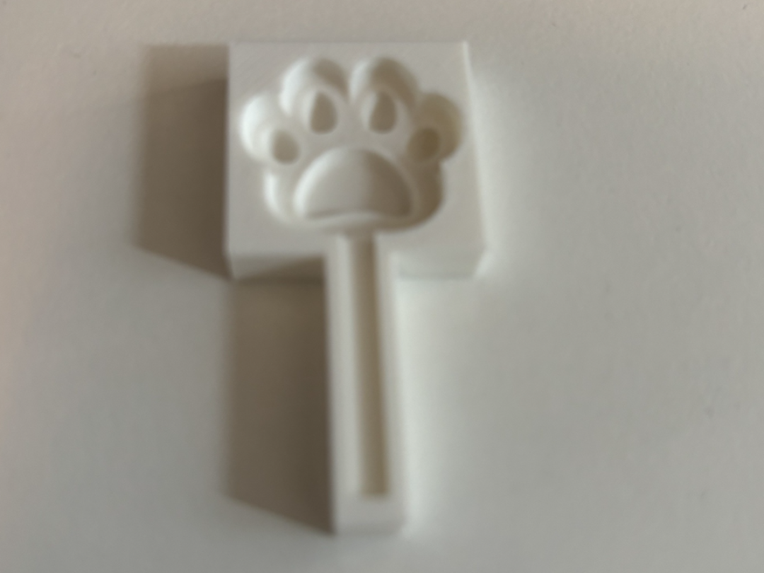 Pawpsicle for chocolate, cakepops or soap