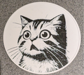 Shocked Cat Coaster