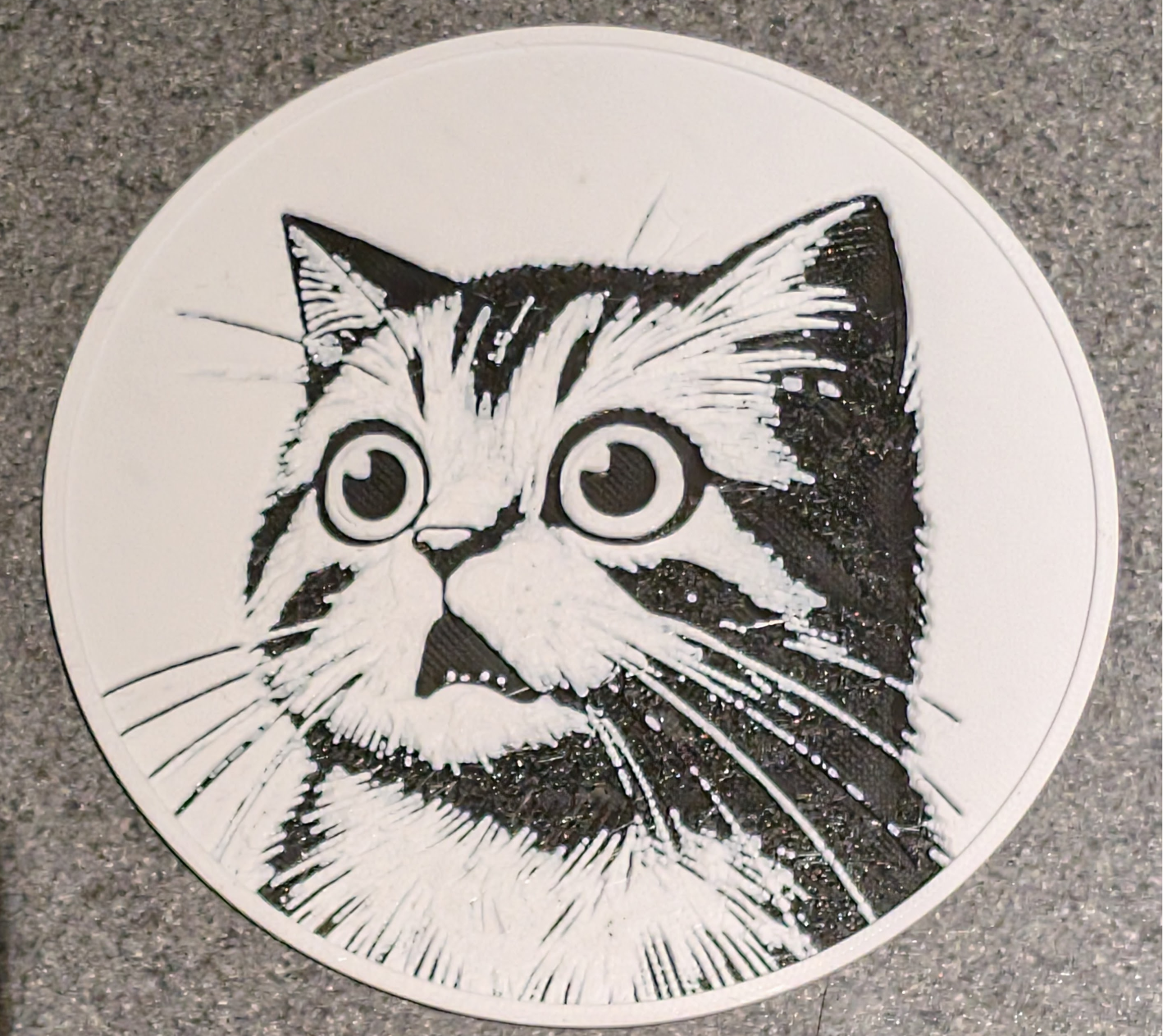 Shocked Cat Coaster